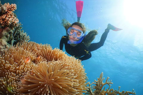 Port Douglas - Cruise And 10 Minute Scenic Flight - Accommodation Great Ocean Road 3