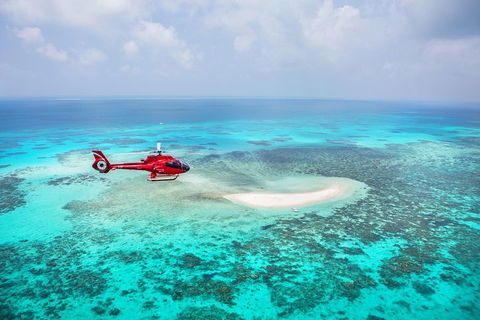 Ultimate Great Barrier Reef And Rainforest 45-minute Helicopter Tour - Accommodation Great Ocean Road 3