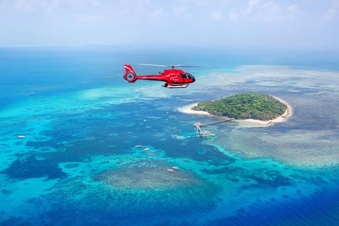 Ultimate Great Barrier Reef And Rainforest 45-minute Helicopter Tour - Accommodation Great Ocean Road 4
