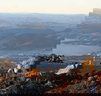 Mt. Wellington Bonorong and Richmond Day Tour from Hobart - Accommodation Great Ocean Road