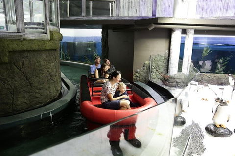 Sydney Attractions Pass: SEA LIFE Aquarium, Sydney Tower Eye, WILD LIFE Zoo And Madame Tussauds - Accommodation Great Ocean Road 0