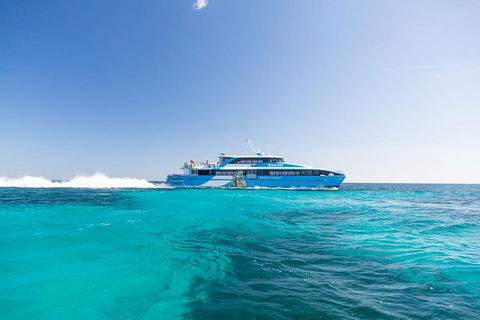 Rottnest Island Bike, Snorkel & Ferry Package From Fremantle - Accommodation Great Ocean Road 0