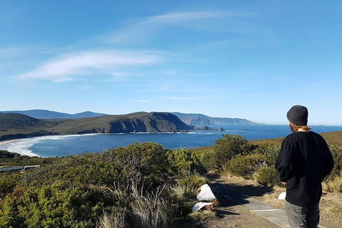 Small-Group Day Trip From Hobart To Bruny Island - Accommodation Great Ocean Road 0