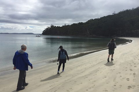 Small-Group Day Trip From Hobart To Bruny Island - Accommodation Great Ocean Road 1