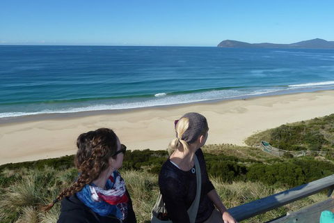 Small-Group Day Trip From Hobart To Bruny Island - Accommodation Great Ocean Road 3