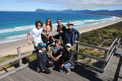 Small-Group Day Trip From Hobart To Bruny Island - Accommodation Great Ocean Road 4