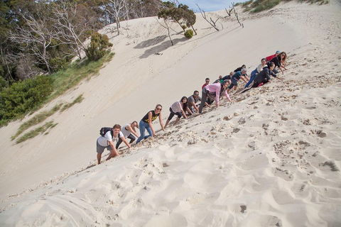 6-Day Tasmanian Explorer Adventure Tour From Hobart - Accommodation Great Ocean Road 2