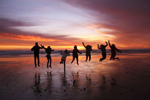 6-Day Tasmanian Explorer Adventure Tour From Hobart - Accommodation Great Ocean Road 3