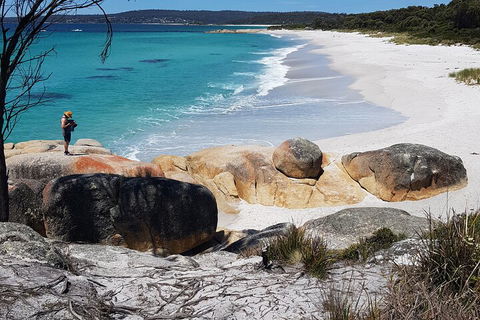 2-Day Tas East Coast Escape Tour Including Bay Of Fires, Wineglass Bay & Devils - Accommodation Great Ocean Road 4