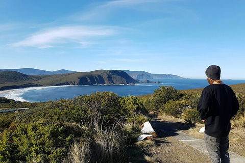 4-Day Fabulous Tasmania Tour: Wineglass Bay, Port Arthur, Devils & Bruny Island - Accommodation Great Ocean Road 0