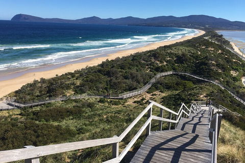4-Day Fabulous Tasmania Tour: Wineglass Bay, Port Arthur, Devils & Bruny Island - Accommodation Great Ocean Road 5
