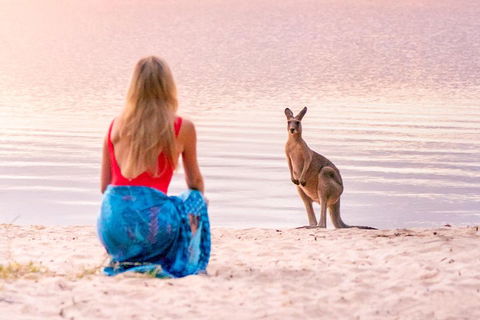 Serenity Cruise To Australia's Everglades - Accommodation Great Ocean Road 3