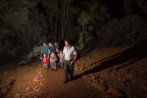 Alice Springs Desert Park Nocturnal Tour - Accommodation Great Ocean Road 0