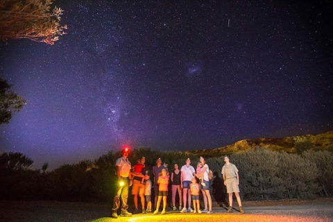 Alice Springs Desert Park Nocturnal Tour - Accommodation Great Ocean Road 2