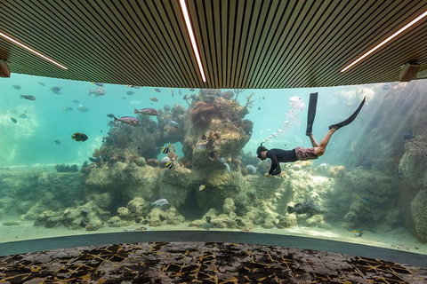 Whitehaven Beach And Daydream Island Cruise - Accommodation Great Ocean Road 4