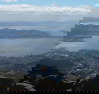 Mt Wellington Tour and MONA Admission - Accommodation Great Ocean Road