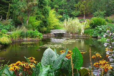 Hobart City Sightseeing Tour Including MONA Admission - Accommodation Great Ocean Road 3