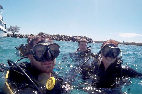 Wave Break Island Scuba Diving On The Gold Coast - Accommodation Great Ocean Road 0