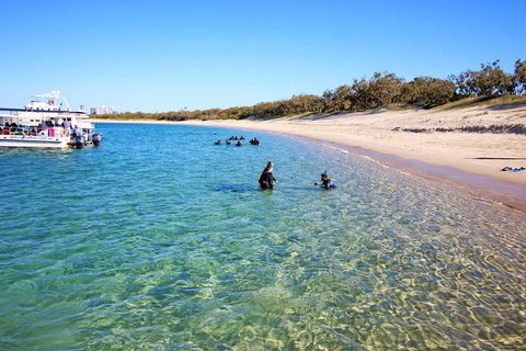 Wave Break Island Scuba Diving On The Gold Coast - Accommodation Great Ocean Road 4