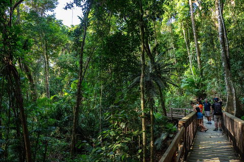 Full Day Daintree Rainforest And Mossman Gorge Tour - Accommodation Great Ocean Road 5