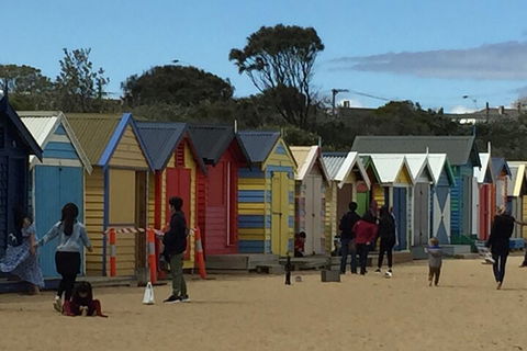 Private Half Day Melbourne City Tour With Local Guide - Accommodation Great Ocean Road 2
