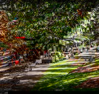 Fully Inclusive Blue Mountains Private Tour inc Scenic World  Featherdale entry - Accommodation Great Ocean Road