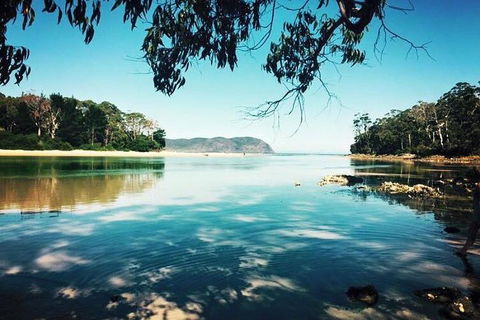 Full-Day Guided Bruny Island Tour From Hobart - Accommodation Great Ocean Road 1