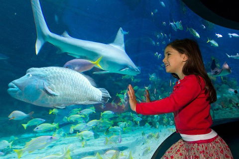 SEA LIFE Melbourne Aquarium Admission Ticket - Accommodation Great Ocean Road 1