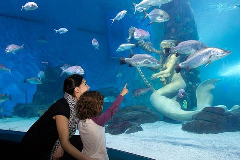 SEA LIFE Melbourne Aquarium Admission Ticket - Accommodation Great Ocean Road 4
