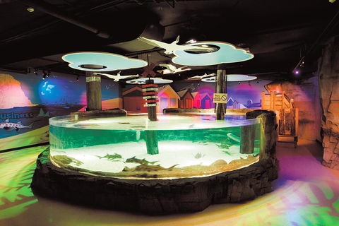 SEA LIFE Melbourne Aquarium Admission Ticket - Accommodation Great Ocean Road 5