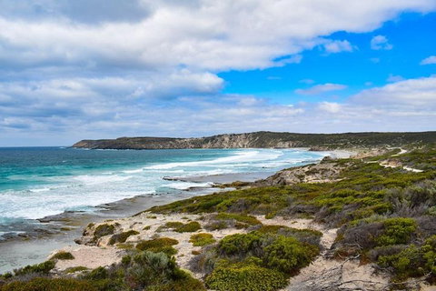 Kangaroo Island Luxury Small Group 'East End Explorer' Full Day Tour - Accommodation Great Ocean Road 0