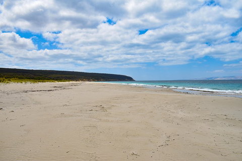 Kangaroo Island Luxury Small Group 'East End Explorer' Full Day Tour - Accommodation Great Ocean Road 3