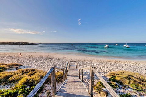Discover Rottnest With Ferry & Bus Tour From Perth Or Fremantle - Accommodation Great Ocean Road 4