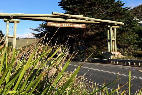 2-Day Great Ocean Road, Mornington Peninsula And Phillip Island Tour - Accommodation Great Ocean Road 4