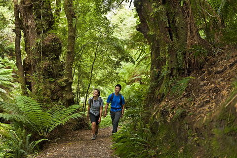 2-Day Great Ocean Road, Mornington Peninsula And Phillip Island Tour - Accommodation Great Ocean Road 5
