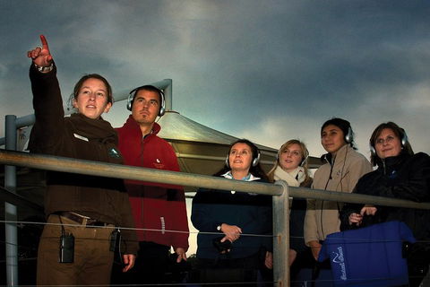 Phillip Island Penguin Parade Express Tour From Melbourne - Accommodation Great Ocean Road 1