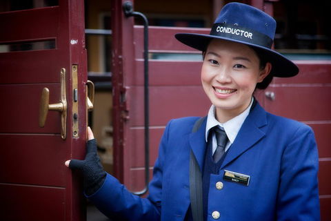 Puffing Billy, Moonlit Sanctuary & Penguins Day Tour - Accommodation Great Ocean Road 1