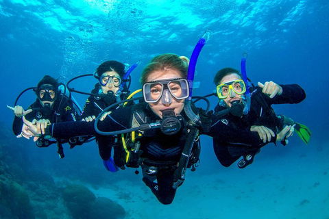 Great Barrier Reef Diving And Snorkeling Cruise From Cairns - Accommodation Great Ocean Road 0