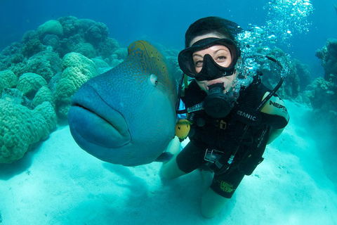 Great Barrier Reef Diving And Snorkeling Cruise From Cairns - Accommodation Great Ocean Road 2