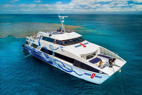 Great Barrier Reef Diving And Snorkeling Cruise From Cairns - Accommodation Great Ocean Road 5