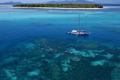 Ocean Free Green Island & Great Barrier Reef Snorkel Cruise, Cairns 25 Guests - Accommodation Great Ocean Road 2