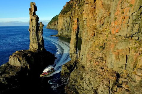 3-Hour Bruny Island Cruise From Adventure Bay, Bruny Island - Accommodation Great Ocean Road 2