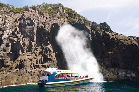 3-Hour Bruny Island Cruise From Adventure Bay, Bruny Island - Accommodation Great Ocean Road 5