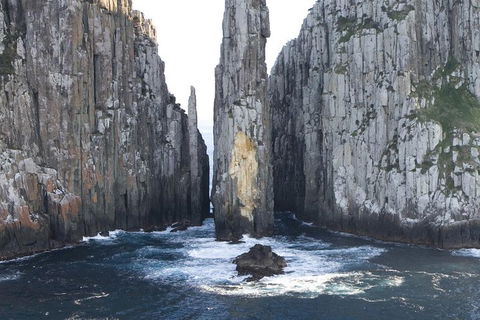 Tasman Island Cruises And Port Arthur Historic Site Day Tour From Hobart - Accommodation Great Ocean Road 2