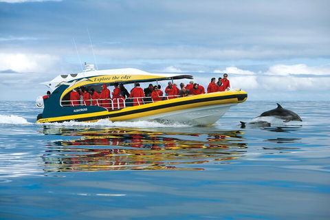 Tasman Island Cruises And Port Arthur Historic Site Day Tour From Hobart - Accommodation Great Ocean Road 3