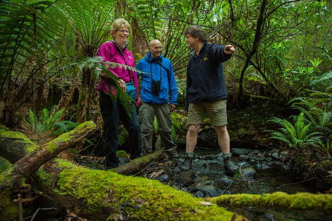 Bruny Island Traveller - Gourmet Tasting And Sightseeing Day Trip From Hobart - Accommodation Great Ocean Road 1