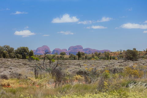 Overnight Uluru (Ayers Rock) Small-Group Camping Tour - Accommodation Great Ocean Road 0