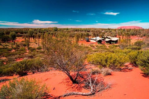 Overnight Uluru (Ayers Rock) Small-Group Camping Tour - Accommodation Great Ocean Road 2