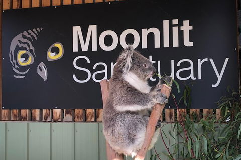 Small-Group Phillip Island Day Trip From Melbourne - Accommodation Great Ocean Road 3