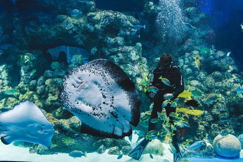 Cairns Aquarium Family Ticket - Accommodation Great Ocean Road 4